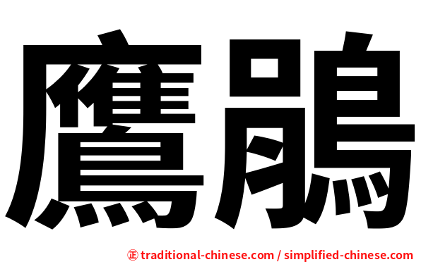 鷹鵑
