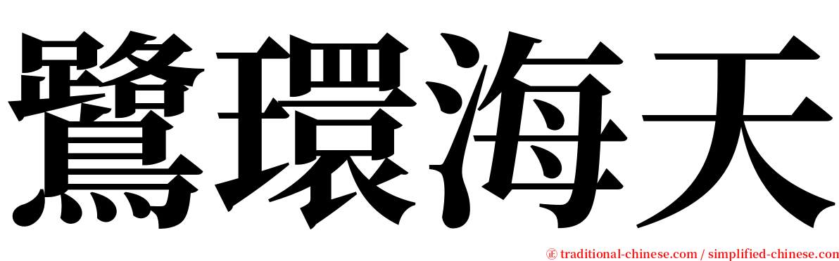 鷺環海天 serif font