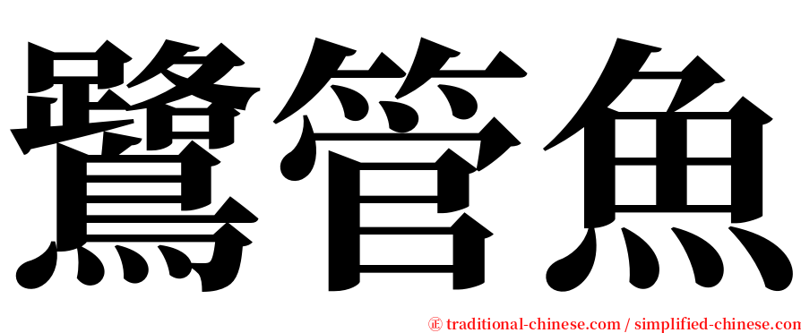 鷺管魚 serif font