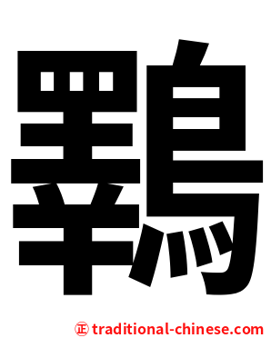 鸅