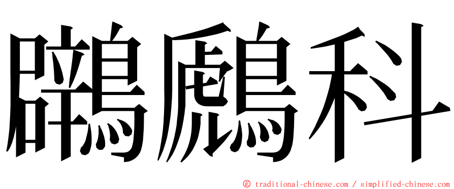 鸊鷉科 ming font