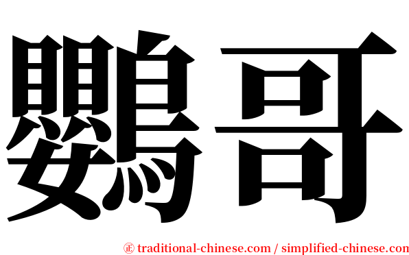 鸚哥 serif font