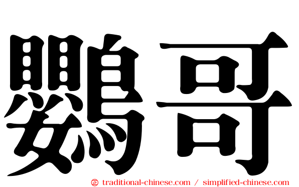 鸚哥