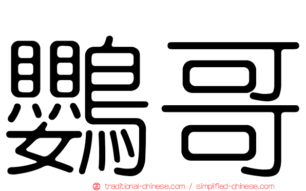 鸚哥