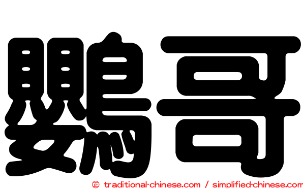 鸚哥