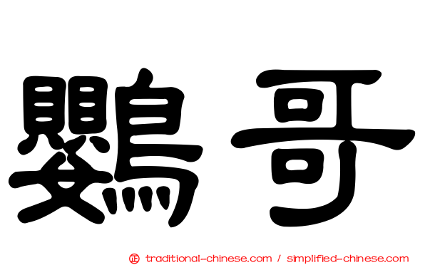 鸚哥