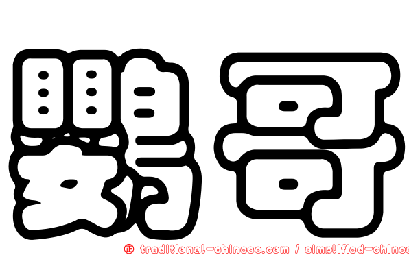 鸚哥