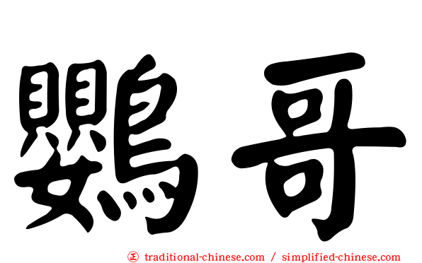 鸚哥