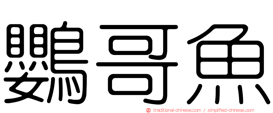 鸚哥魚