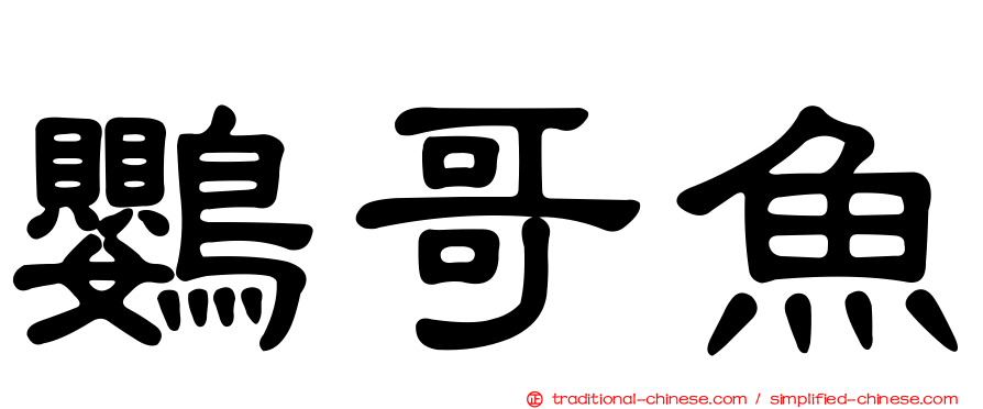 鸚哥魚
