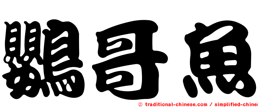 鸚哥魚