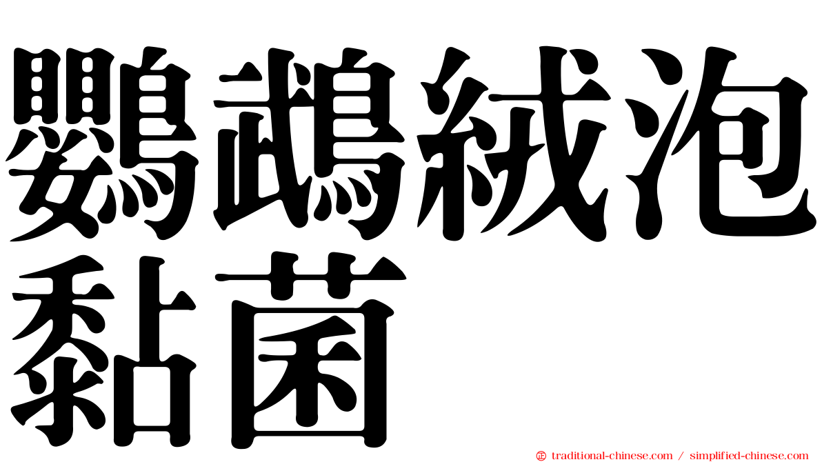 鸚鵡絨泡黏菌