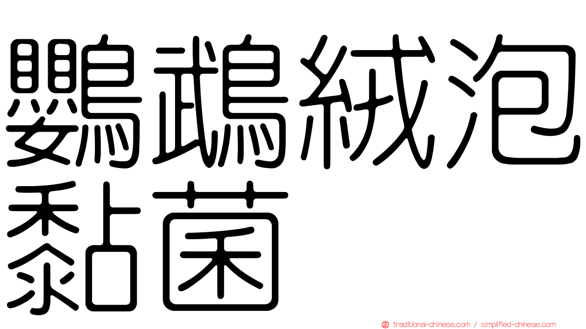 鸚鵡絨泡黏菌