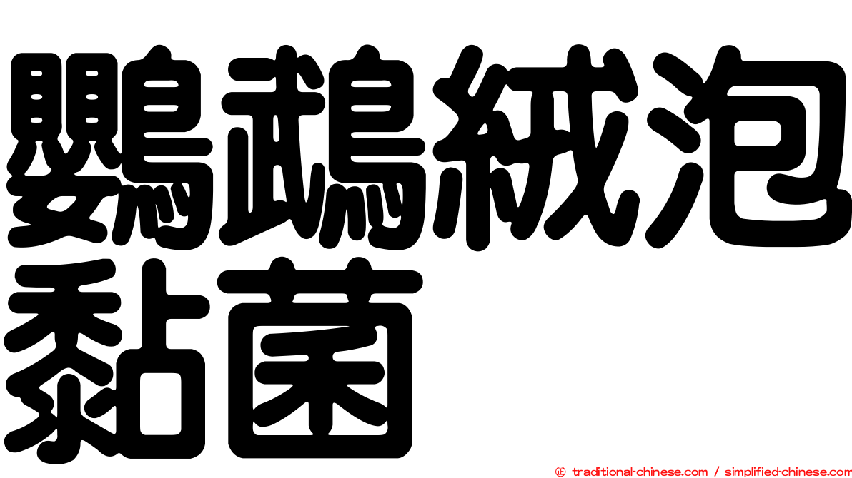 鸚鵡絨泡黏菌