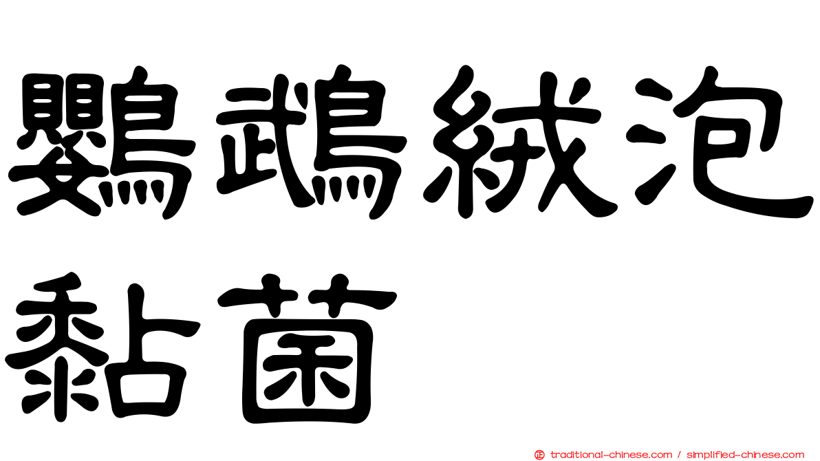 鸚鵡絨泡黏菌