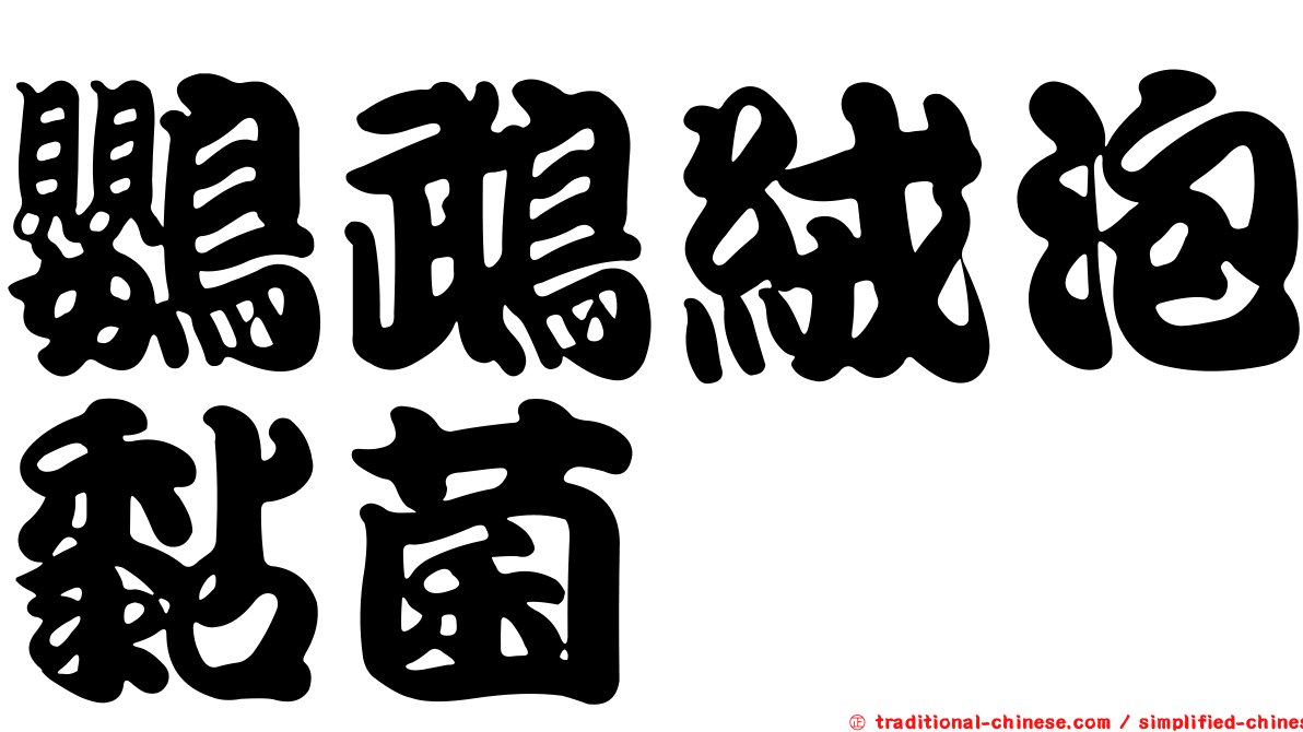 鸚鵡絨泡黏菌