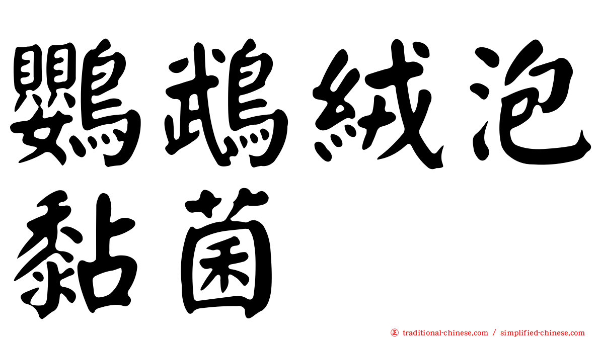鸚鵡絨泡黏菌