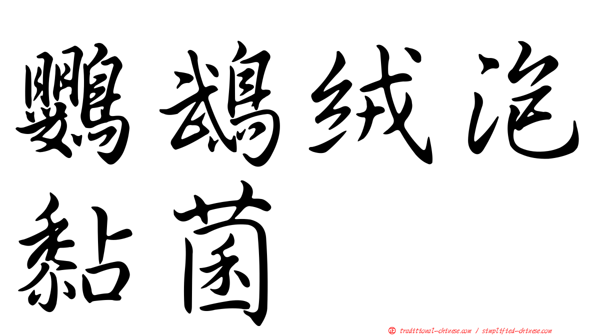 鸚鵡絨泡黏菌