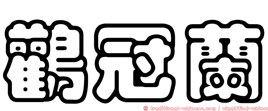 鸛冠蘭