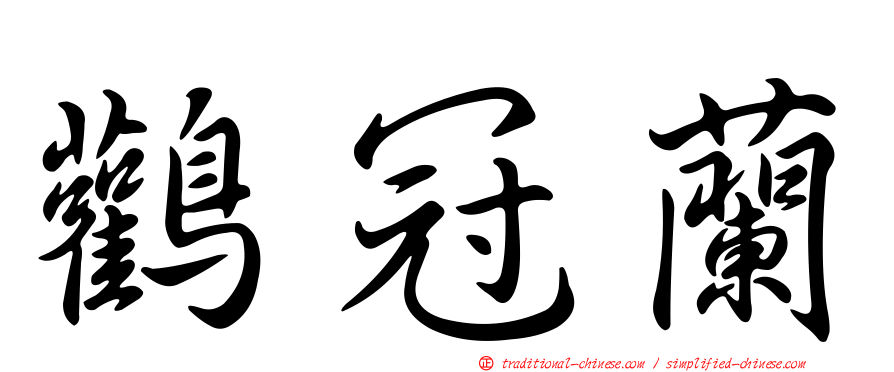 鸛冠蘭