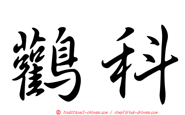 鸛科