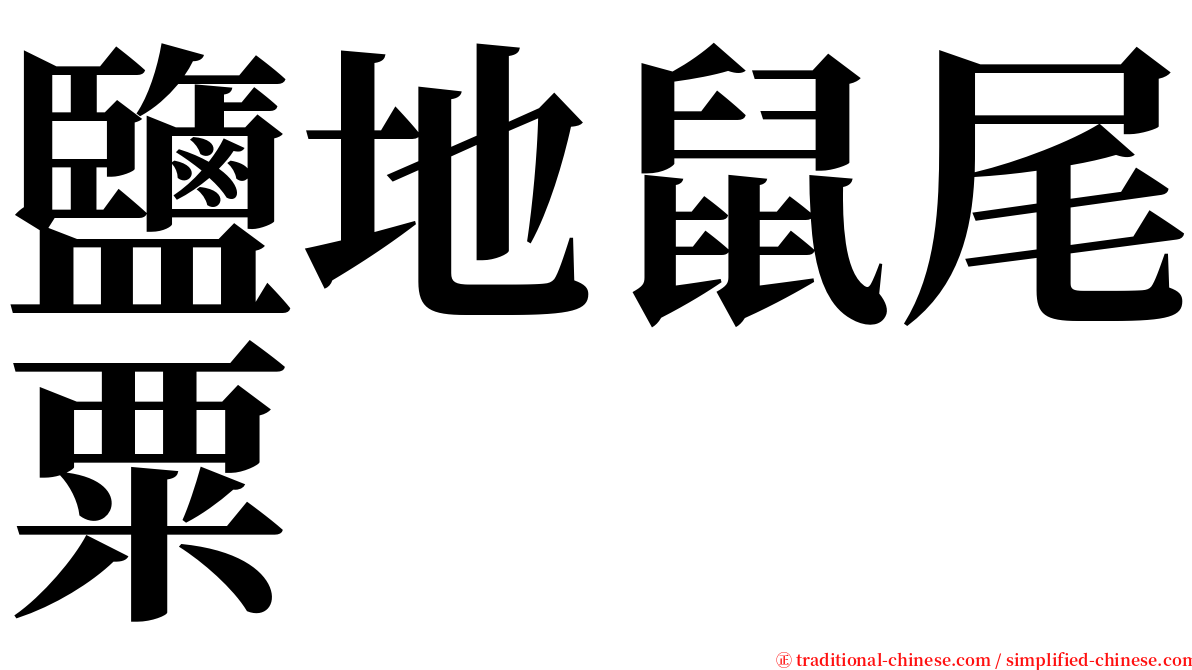 鹽地鼠尾粟 serif font