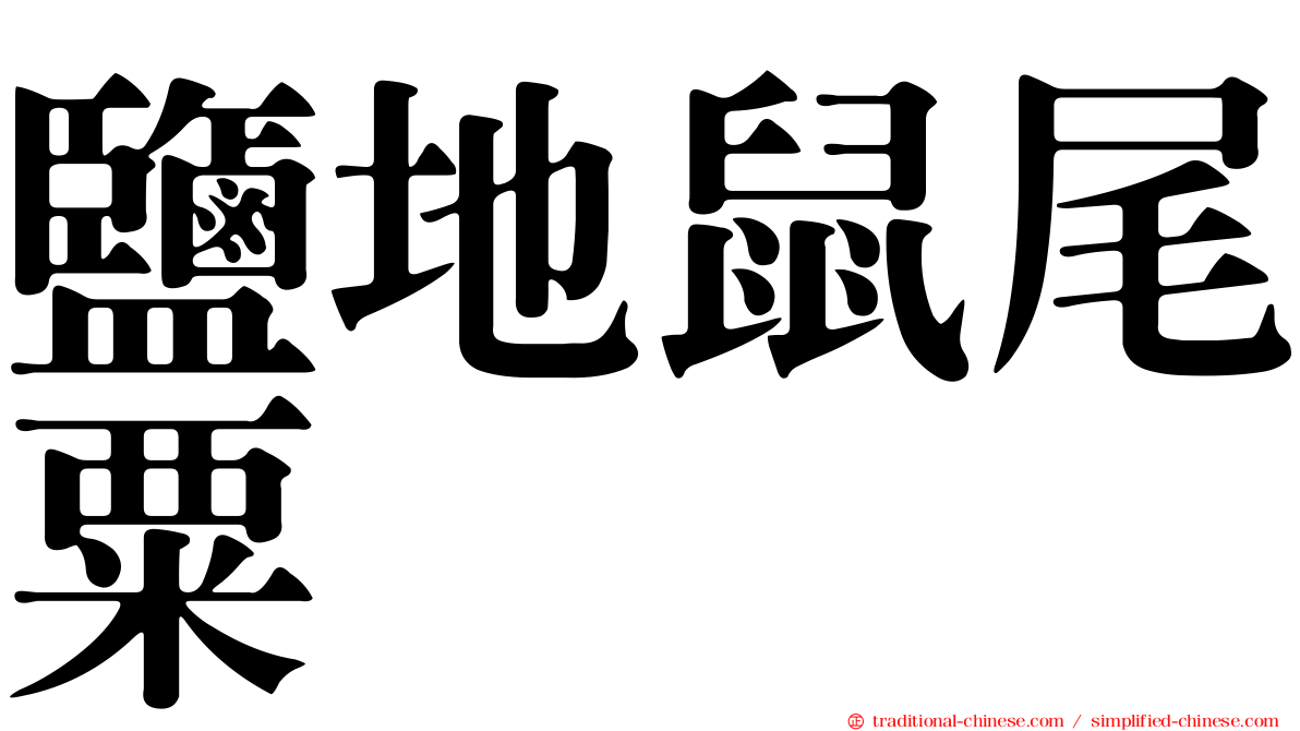 鹽地鼠尾粟