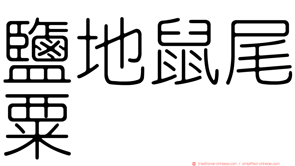 鹽地鼠尾粟