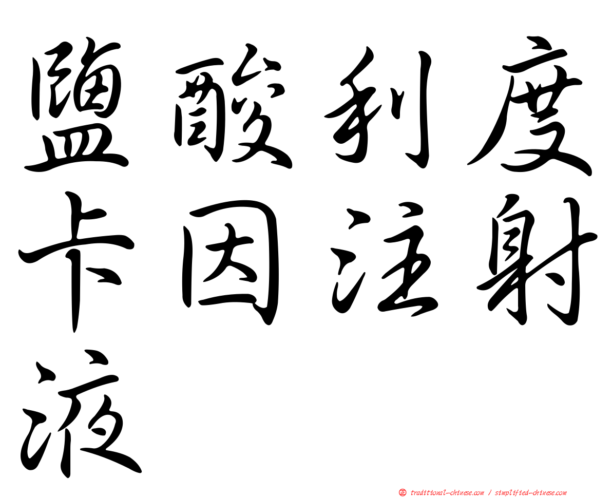 鹽酸利度卡因注射液