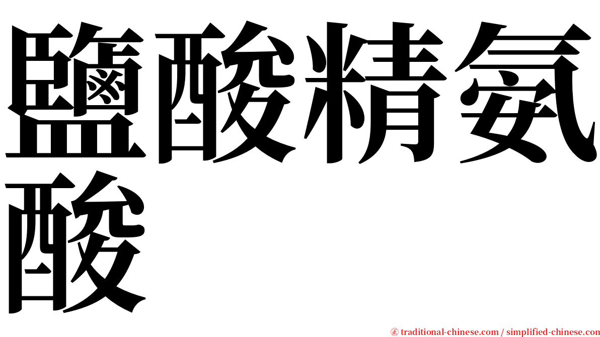 鹽酸精氨酸 serif font