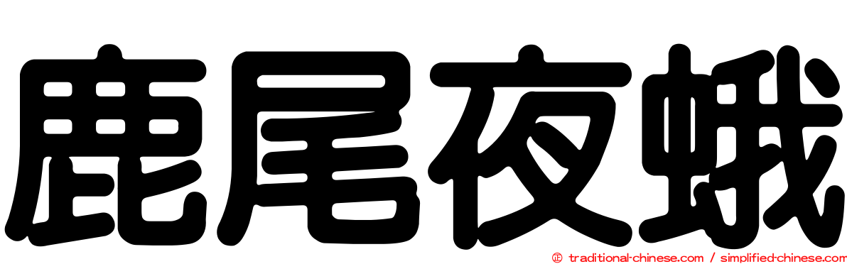 鹿尾夜蛾