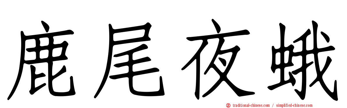 鹿尾夜蛾