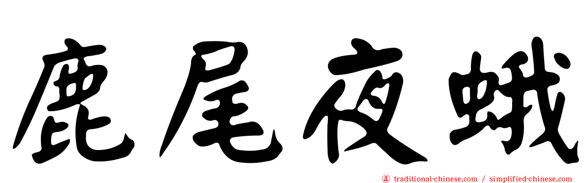 鹿尾夜蛾