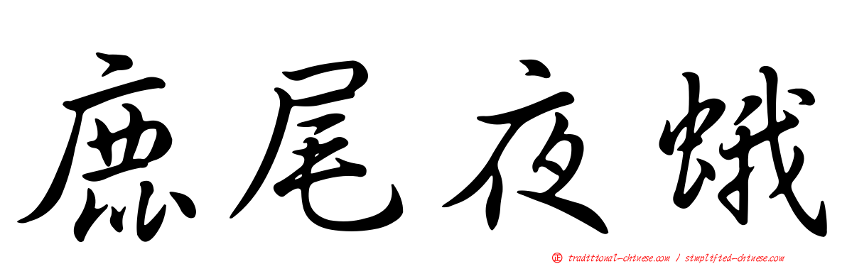 鹿尾夜蛾
