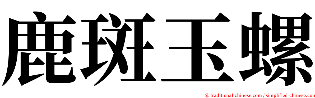 鹿斑玉螺 serif font