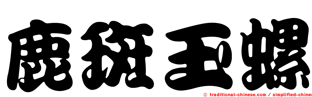 鹿斑玉螺