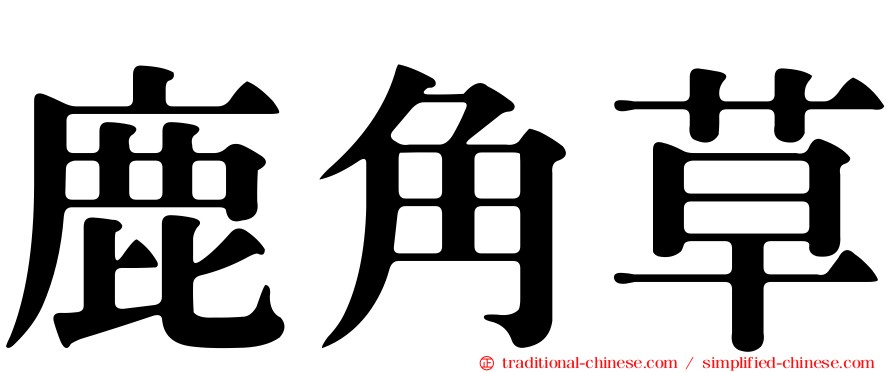 鹿角草