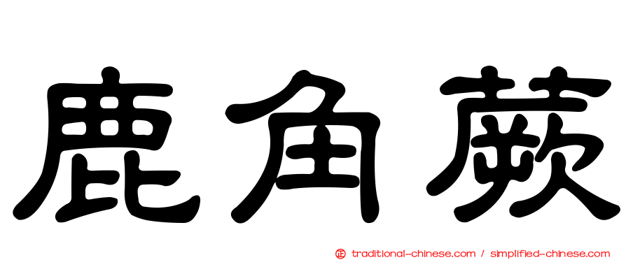 鹿角蕨