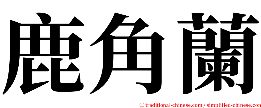 鹿角蘭 serif font