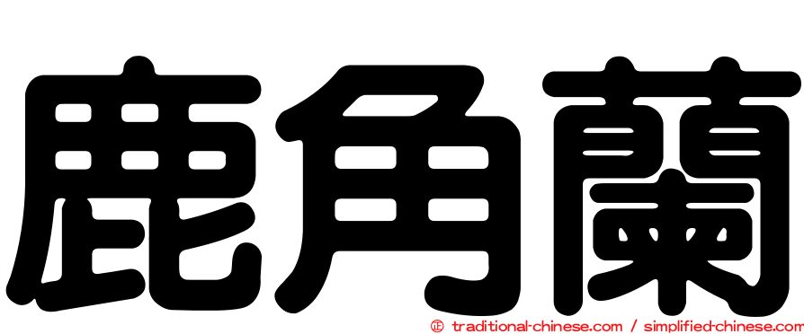 鹿角蘭