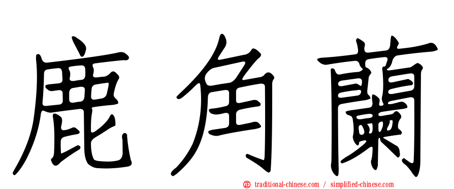 鹿角蘭