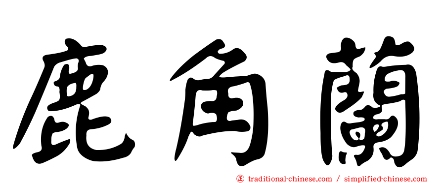 鹿角蘭