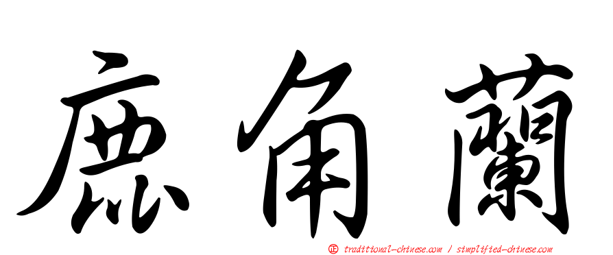 鹿角蘭