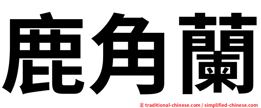 鹿角蘭