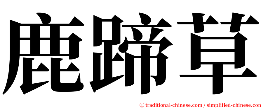 鹿蹄草 serif font