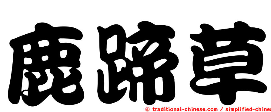 鹿蹄草