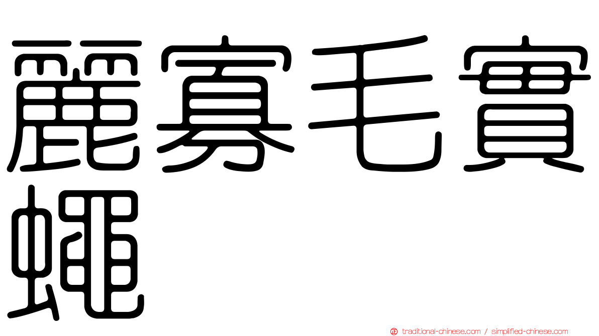 麗寡毛實蠅