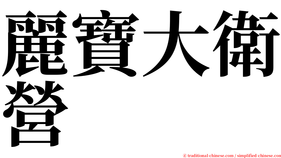 麗寶大衛營 serif font