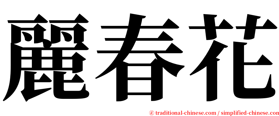 麗春花 serif font
