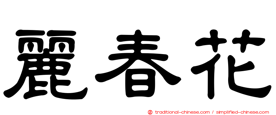 麗春花